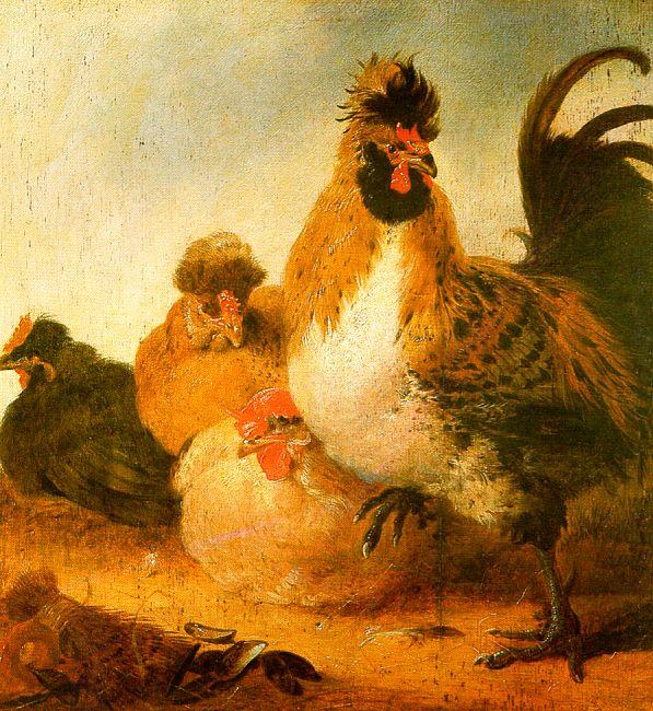 Aelbert Cuyp Rooster Hens China oil painting art